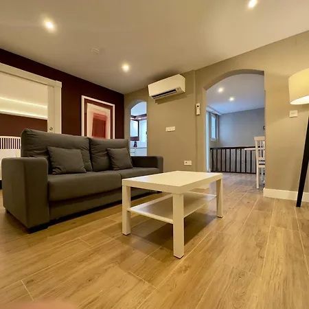 Apartament Anaya,1º,2º En Pleno Centro De Grenada
